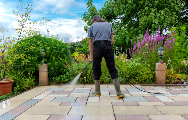 Best Driveway Pressure Washing  in West Wareham, MA